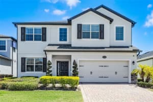 13320 Magnolia Valley Dr, CLERMONT