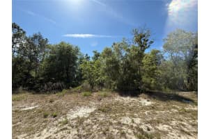 N/A 89TH TERRACE, DUNNELLON, FL 34432 - MLS#MFRO6301155