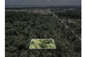 242 CONDOR AVENUE, SEBRING, FL 33870 - MLS#MFRO6301223
