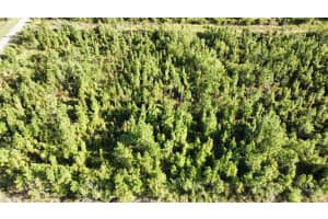 22 LAGUNA DRIVE, INDIAN LAKE ESTATES, FL 33855 - MLS#MFRO6301280