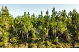 22 LAGUNA DRIVE, INDIAN LAKE ESTATES, FL 33855 - MLS#MFRO6301280
