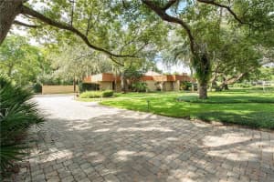229 Flame Ave, MAITLAND