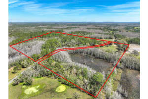 3939 LAKE ERIE ROAD, GROVELAND, FL 34736 - MLS#MFRO6301849