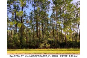 RALSTON ST #591&593, ORLANDO, FL 32833 - MLS#MFRO6301861