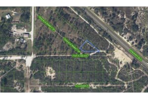6115 PEAR BLOSSOM STREET, SEBRING, FL 33876 - MLS#MFRO6301999