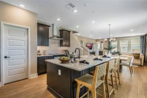 15201 SUMMER HARVEST STREET, WINTER GARDEN, FL 34787 - MLS#MFRO6302049