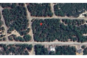 401 WIND ROSE AVENUE, LAKE PLACID, FL 33852 - MLS#MFRO6302091