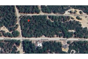 401 WIND ROSE AVENUE, LAKE PLACID, FL 33852 - MLS#MFRO6302091