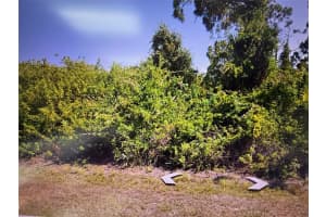 393 ALBATROSS ROAD, ROTONDA WEST, FL 33947 Sold 06/17/25