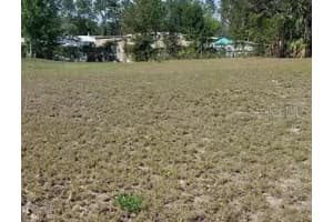 15964 BROOKRIDGE BOULEVARD, BROOKSVILLE, FL 34613 - MLS#MFRO6302186