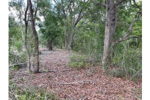 8170 158 LANE, DUNNELLON, FL 34432 Sold 06/13/25