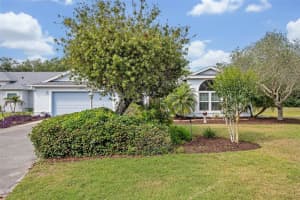 25057 RIVERWALK DRIVE, LEESBURG, FL 34748 - MLS#MFRO6302362
