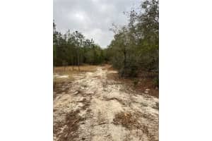 4651 KELLY PARK ROAD, APOPKA, FL 32712 - MLS#MFRO6302395