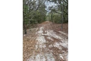4651 KELLY PARK ROAD, APOPKA, FL 32712 - MLS#MFRO6302395