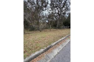16805 249TH TERRACE, UMATILLA, FL 32784 - MLS#MFRO6302621