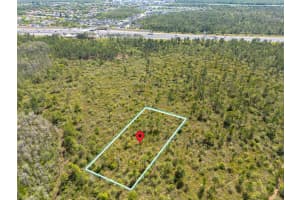 LOT 146 INTERNATIONAL DR, ORLANDO, FL 32821 - MLS#MFRO6302674