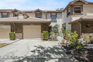 1171 Clays Trl, OLDSMAR