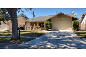 10025 Chesham Dr, ORLANDO