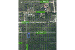 629 GADWALL AVENUE, LAKE PLACID, FL 33852 - MLS#MFRO6303023