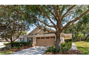 30546 LIPIZZAN TERRACE, MOUNT DORA, FL 32757 Sold 06/11/25
