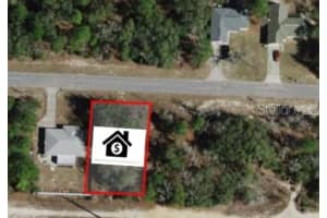 8596 VINCE DRIVE, CITRUS SPRINGS, FL 34434 Sold 06/06/25