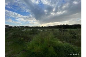 864 SCRUB OAK HAMMOCK ROAD, DAVENPORT, FL 33837 - MLS#MFRO6303473