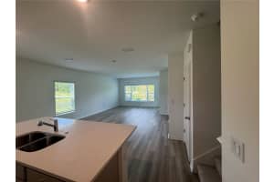 266 THOMPSON VILLAGE AVENUE, APOPKA, FL 32703 - MLS#MFRO6303497
