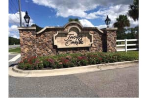 1520 SCARLET OAK LOOP, WINTER GARDEN, FL 34787 - MLS#MFRO6303715