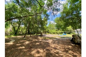 910 LAKE PLEASANT ROAD, APOPKA, FL 32703 - MLS#MFRO6303721