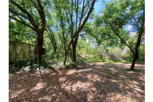 910 LAKE PLEASANT ROAD, APOPKA, FL 32703 - MLS#MFRO6303721