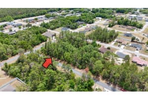 0 151 PLACE, OCALA, FL 34473 - MLS#MFRO6303723