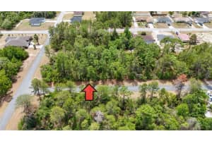 0 151 PLACE, OCALA, FL 34473 - MLS#MFRO6303723