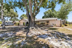2007 PEACH TREE BOULEVARD, ST CLOUD, FL 34769 Sold 07/18/25