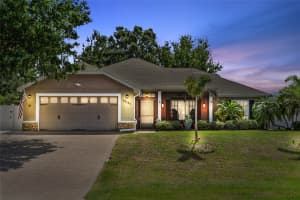 12137 BUTTONBUSH LOOP, LEESBURG, FL 34788 Sold 07/01/25