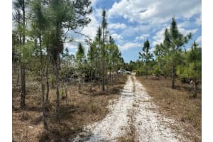 1249 BOWLES AVENUE, FORT MYERS, FL 33913 - MLS#MFRO6304261