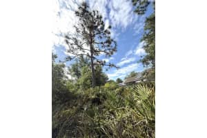 0 MARICOPA DRIVE, KISSIMMEE, FL 34758 Sold 07/02/25