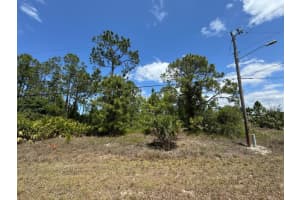 513 ADDISON STREET, LEHIGH ACRES, FL 33974 - MLS#MFRO6304387