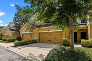 8031 ENCHANTMENT DRIVE, WINDERMERE, FL 34786 Sold 08/29/25