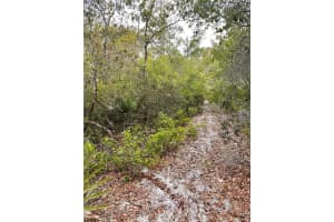 PURCELL (PAPER) ST, DELTONA, FL 32739 - MLS#MFRO6304687