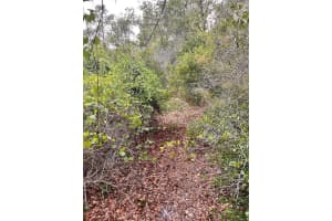 PURCELL (PAPER) ST, DELTONA, FL 32739 - MLS#MFRO6304687