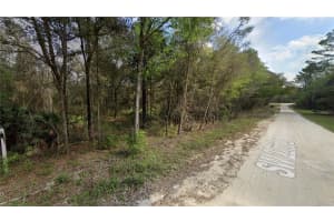 SW 22ND LN, OCALA, FL 34481 - MLS#MFRO6304697