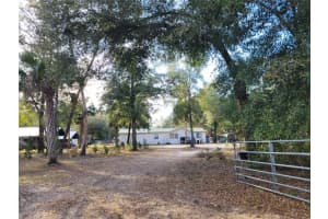 41940 PINE VALLEY DRIVE, PAISLEY, FL 32767 - MLS#MFRO6304711