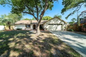 3419 Pleasant Lake Dr, TAMPA