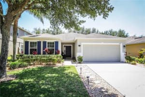4793 GRASSY KNOLL DRIVE, TAVARES, FL 32778 Sold 07/07/25