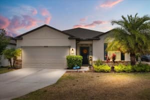 17500 BUTTERFLY PEA COURT, CLERMONT, FL 34714 Sold 07/31/25