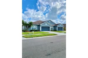 30442 Lettingwell Cir, WESLEY CHAPEL