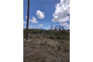 9176 CASEY STREET, PORT CHARLOTTE, FL 33981 - MLS#MFRO6305006