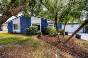 10108 MATCHLOCK DRIVE, ORLANDO, FL 32821 Sold 06/20/25