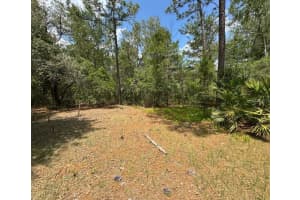 140 SAND LAKE DRIVE, POMONA PARK, FL 32181 Sold 05/23/25