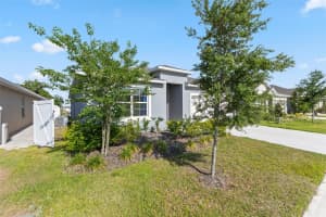 3341 LOUNGING WREN LANE, BARTOW, FL 33830 - MLS#MFRO6305553